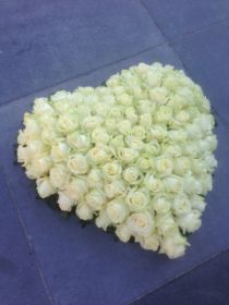 foto 5.JPG