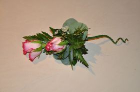 DSC_0295.JPG